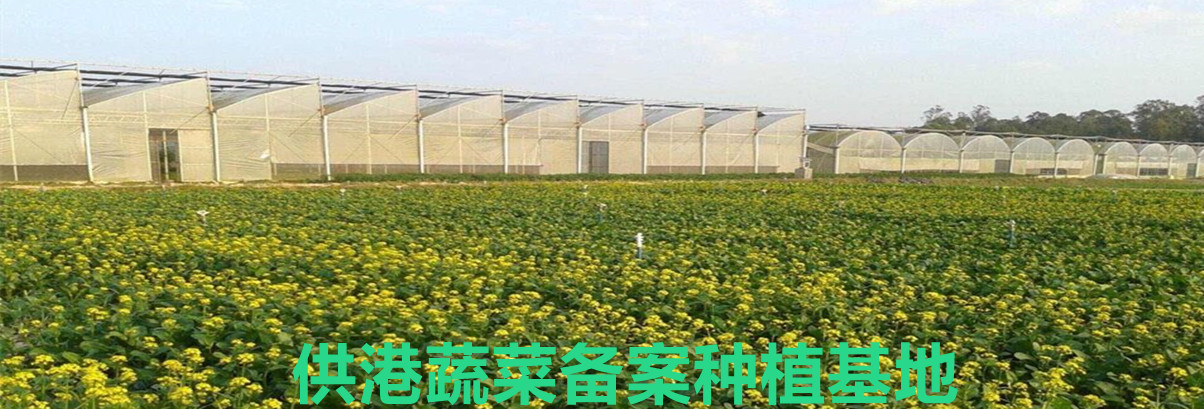 供港蔬菜种植备案基地