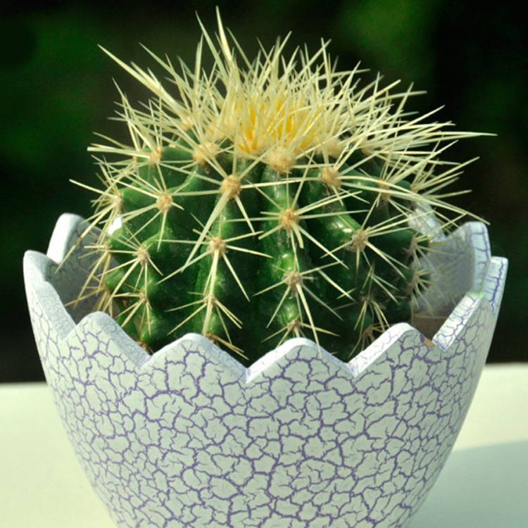 Cloud Zoom small image