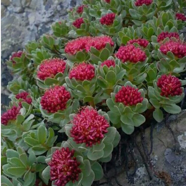 Cloud Zoom small image