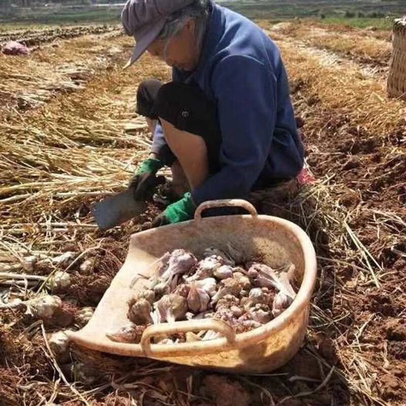 Cloud Zoom small image