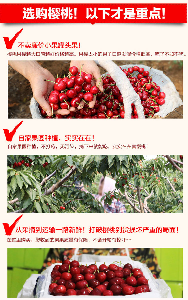 樱桃详情页_04.jpg