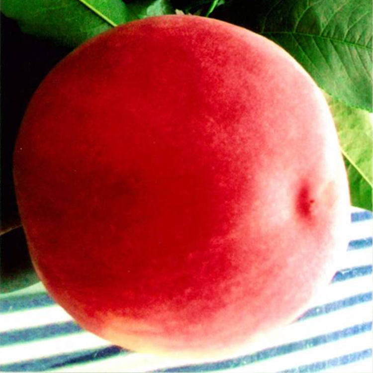 Cloud Zoom small image