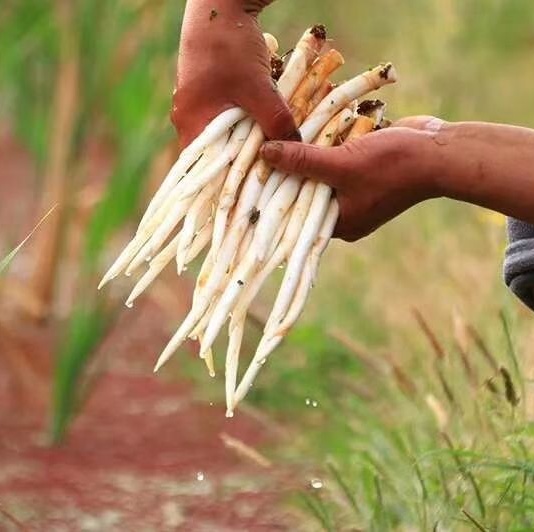 Cloud Zoom small image