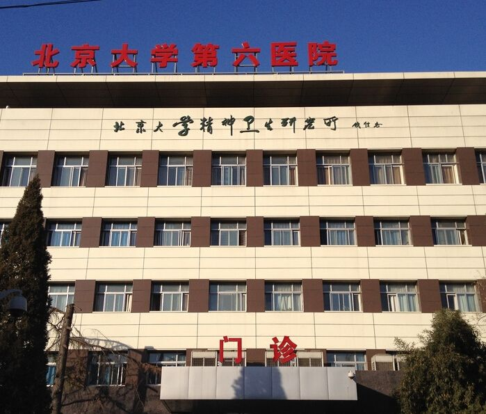 北京大学第六医院