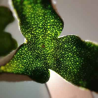 40ff163d6c5e15df8420fed392d853f6-sz_700794 拷贝.jpg