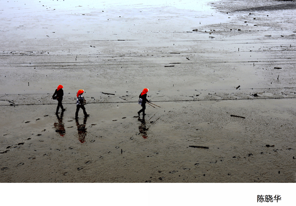 2017上期摄影班学员陈晓华作品