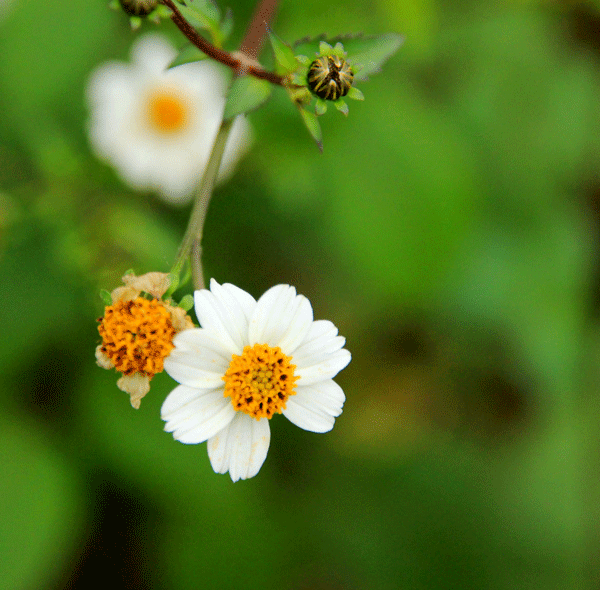 2017下期摄影班陈淑琴学员作品