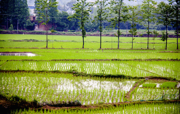 2018老年大学下期摄影班李昌伦老师作品
