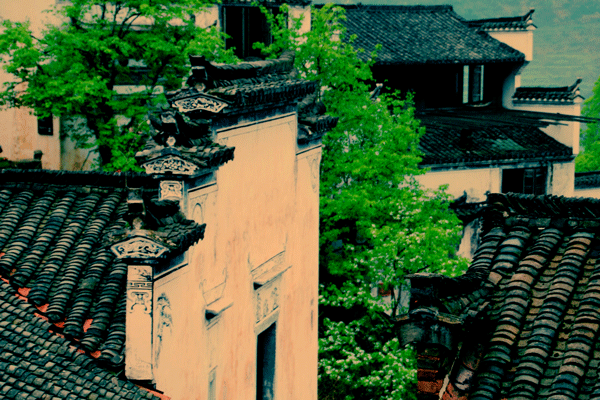 2018老年大学下期摄影班周阿义学员作品