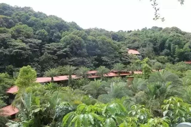 20191028152901_84759.jpg