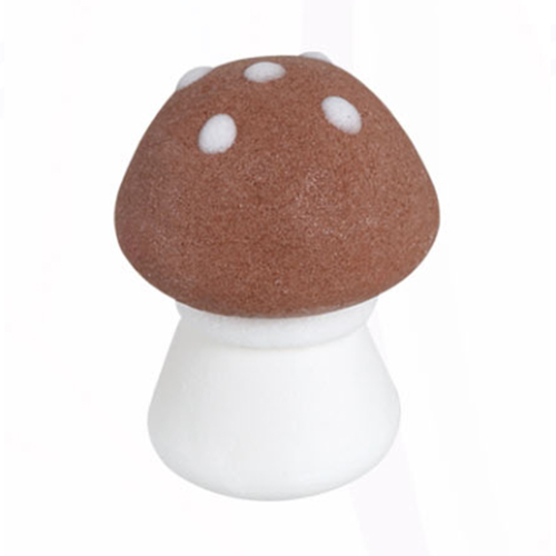 Cloud Zoom small image