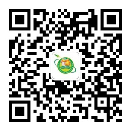 用手机浏览器扫描浏览效果