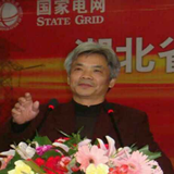 魏淼清--电力专家