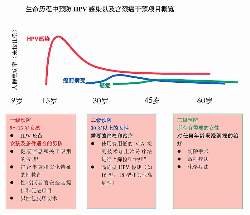 宫颈癌存活率可通过开展有效的治疗项目得到进一步提高.