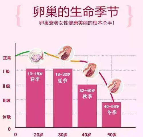 台湾冻卵 台湾冻卵