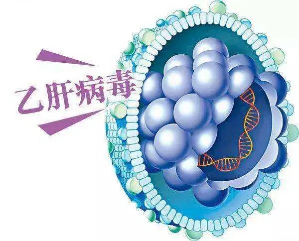 台湾长庚医院治乙肝