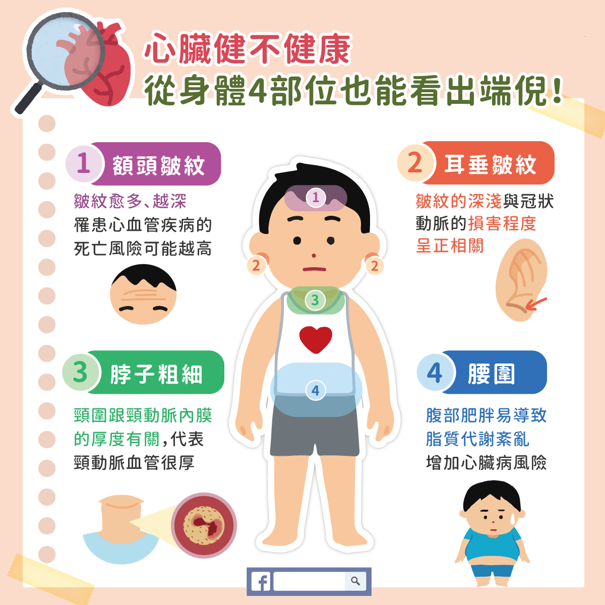 心脏健不健康4部位看出端倪 心脏健不健康4部位看出端倪