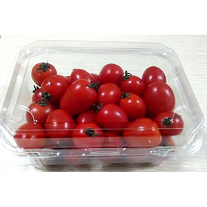 Cloud Zoom small image