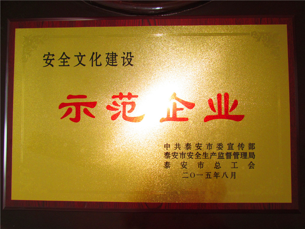 安全文化建设示范企业
