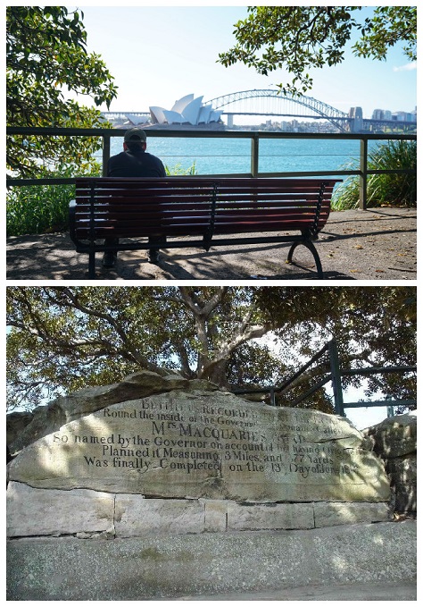 20200622110432_69614.jpg 麦考利夫人座椅.jpg