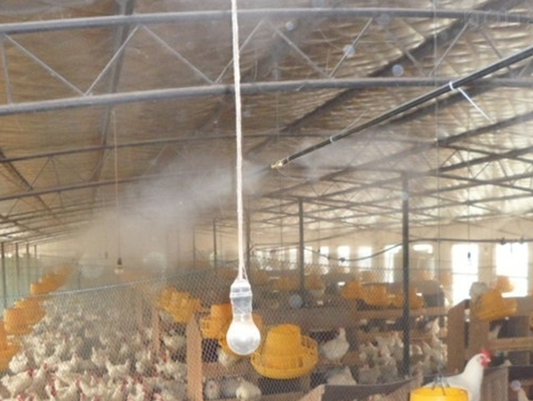 雞棚噴霧降溫系統(tǒng)