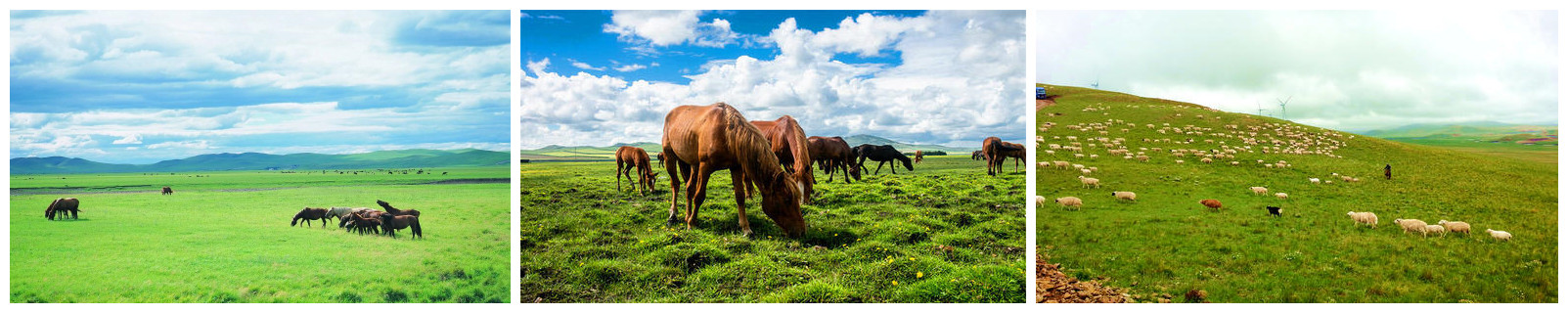 20210320145207_67646.jpg 合图11.jpg