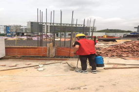 国家散裂中子源建设防白蚁