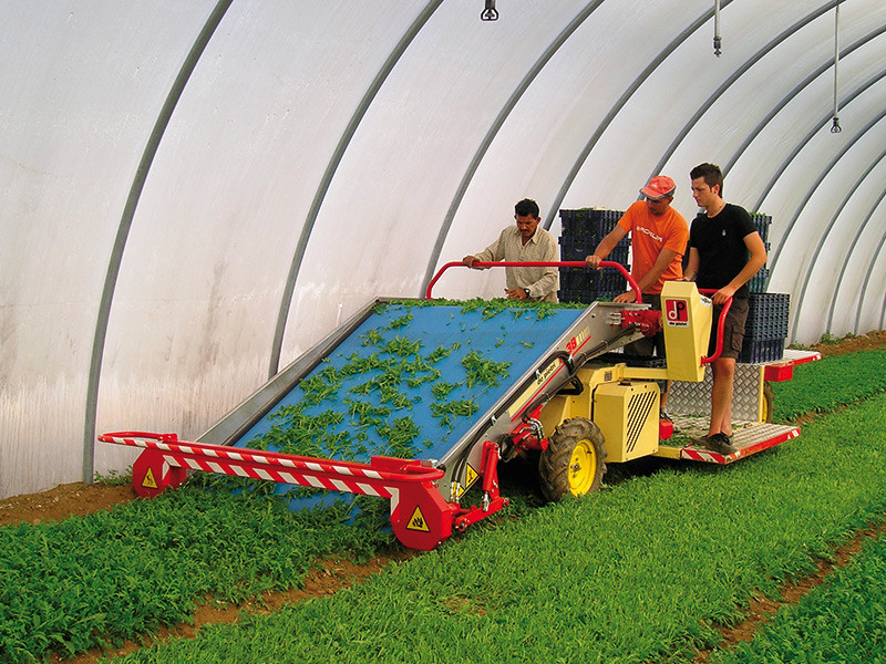 FR 38 蔬菜茎叶收获机/Baby Leaf Harvester