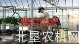 蔬菜移动培植介绍