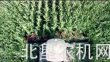 卡佩罗割台介绍