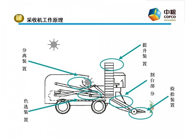 图片11.jpg