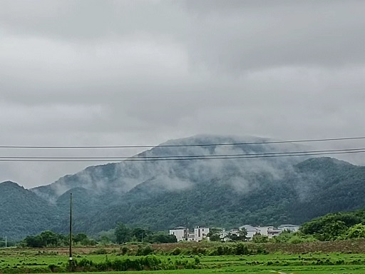 老苏服务日记2022年5月29号