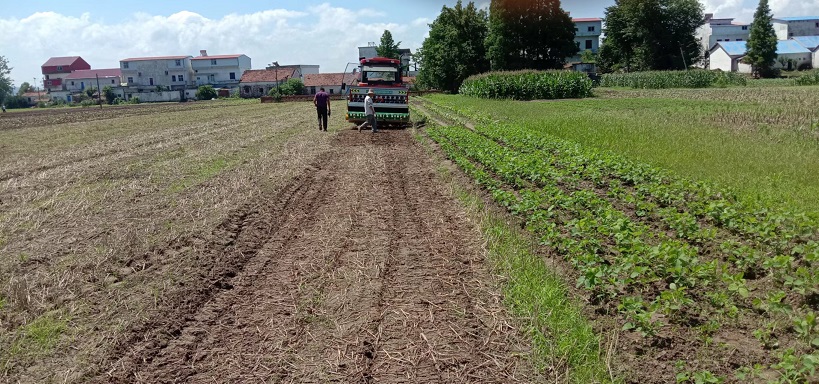 老苏服务日记2022年6月10日
