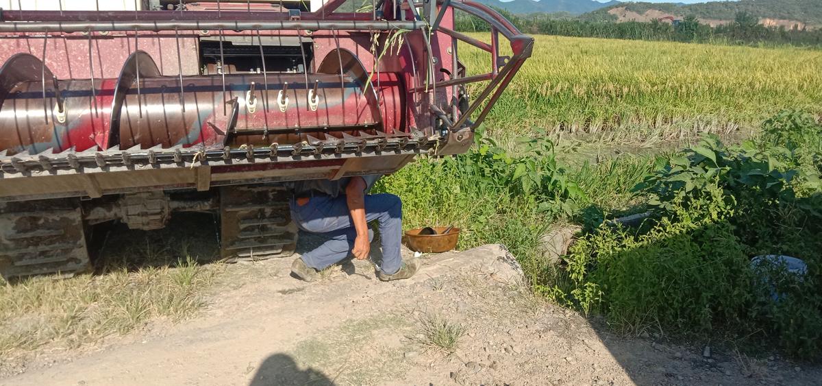 老苏服务日记2022年8月21日