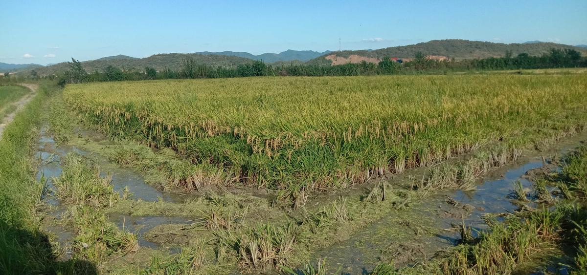 老苏服务日记2022年12月24日