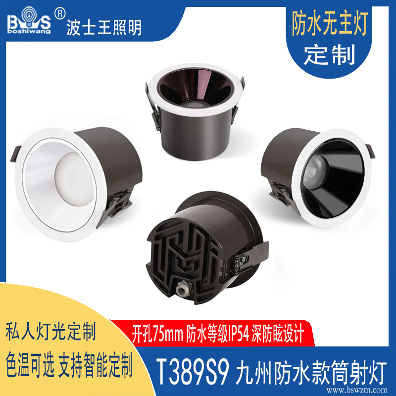 T389S9九州 防水筒灯.jpg