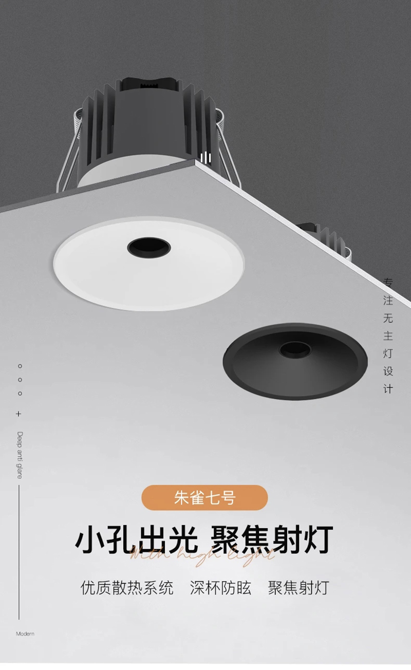 S295YD朱雀七号 小孔射灯1.jpg