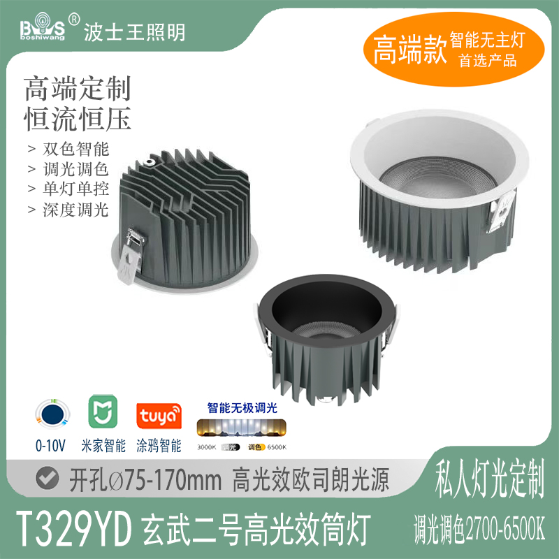 T329YD玄武二号.jpg