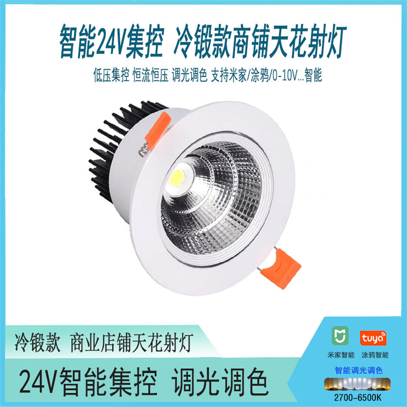 24V集控 冷锻款 天花射灯.jpg