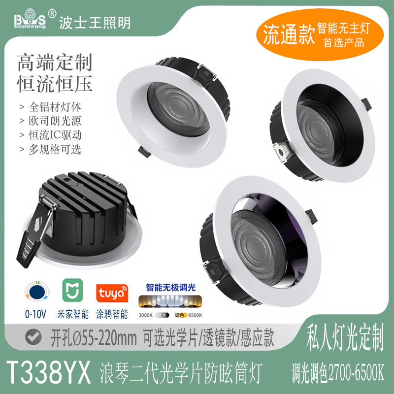 T338YX浪琴二代 光学片筒灯30.jpg