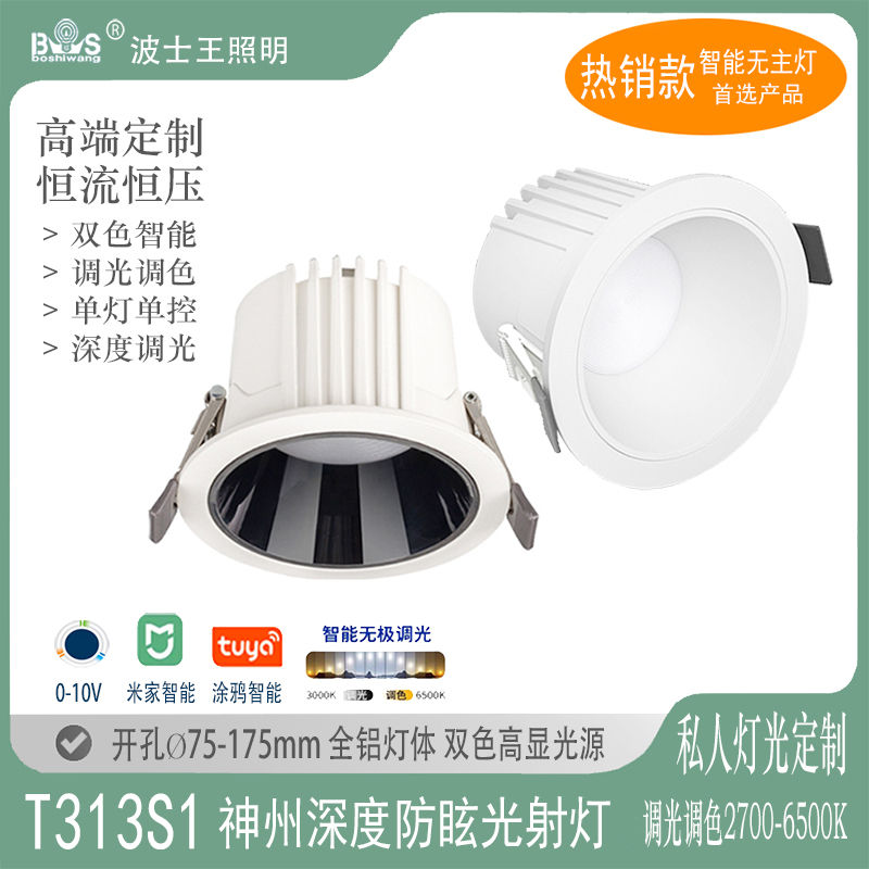 T313S1神州 筒灯70.jpg