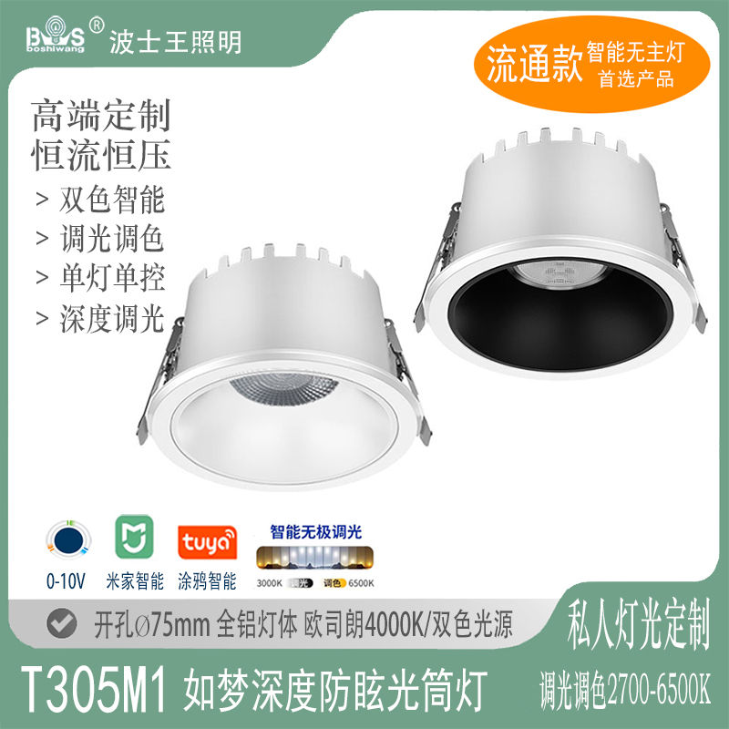 T305M如梦 筒灯60.jpg