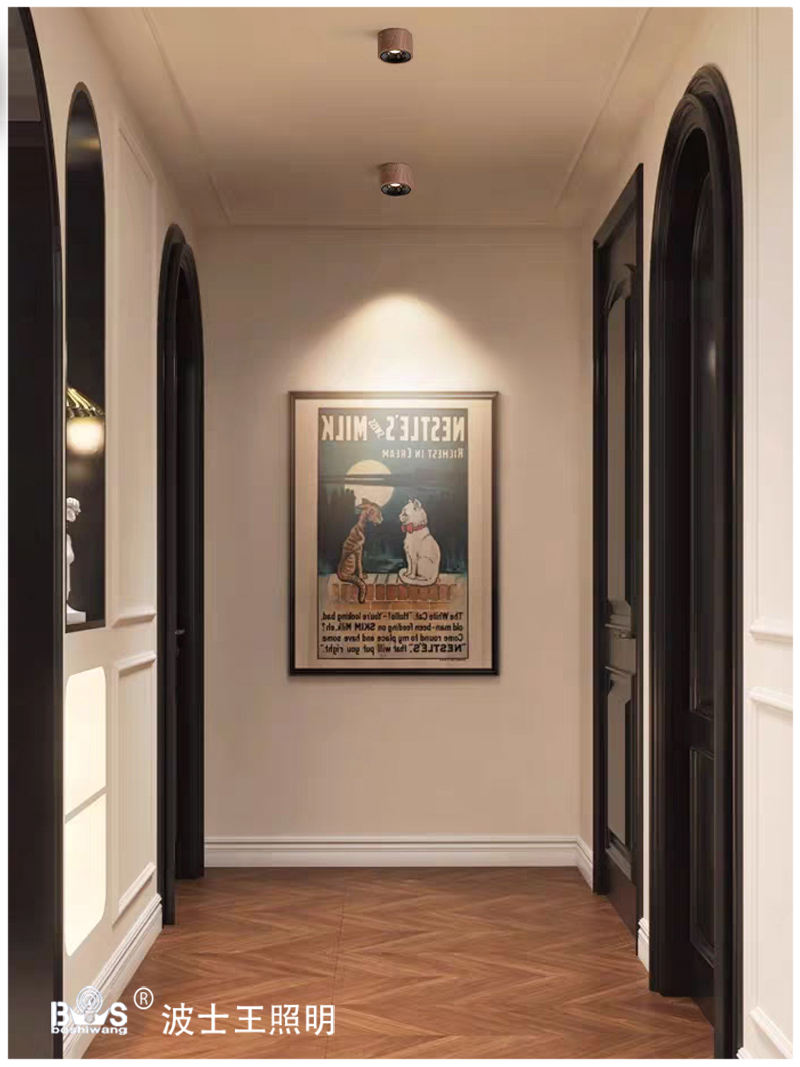 S5039YT可调 明装射灯15.jpg