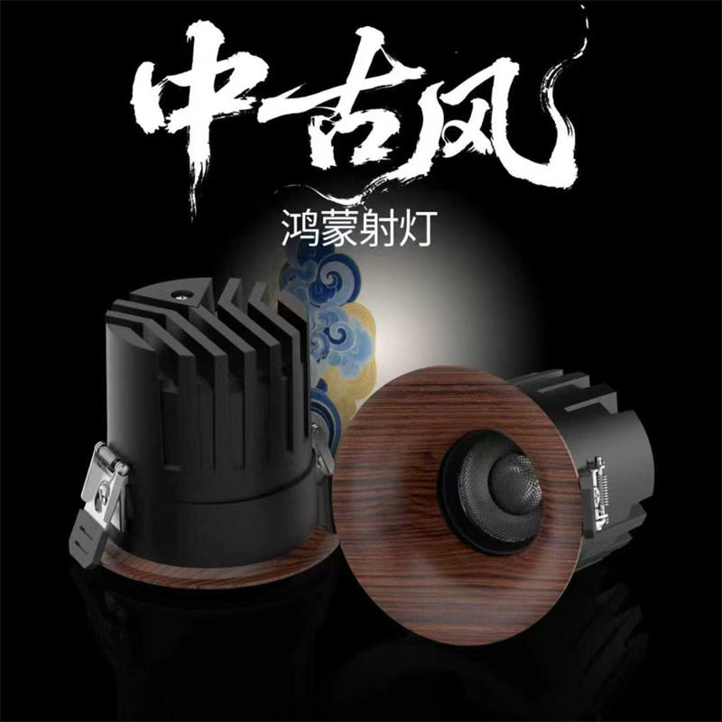 S5055YT鸿蒙 弧面射灯54.jpg