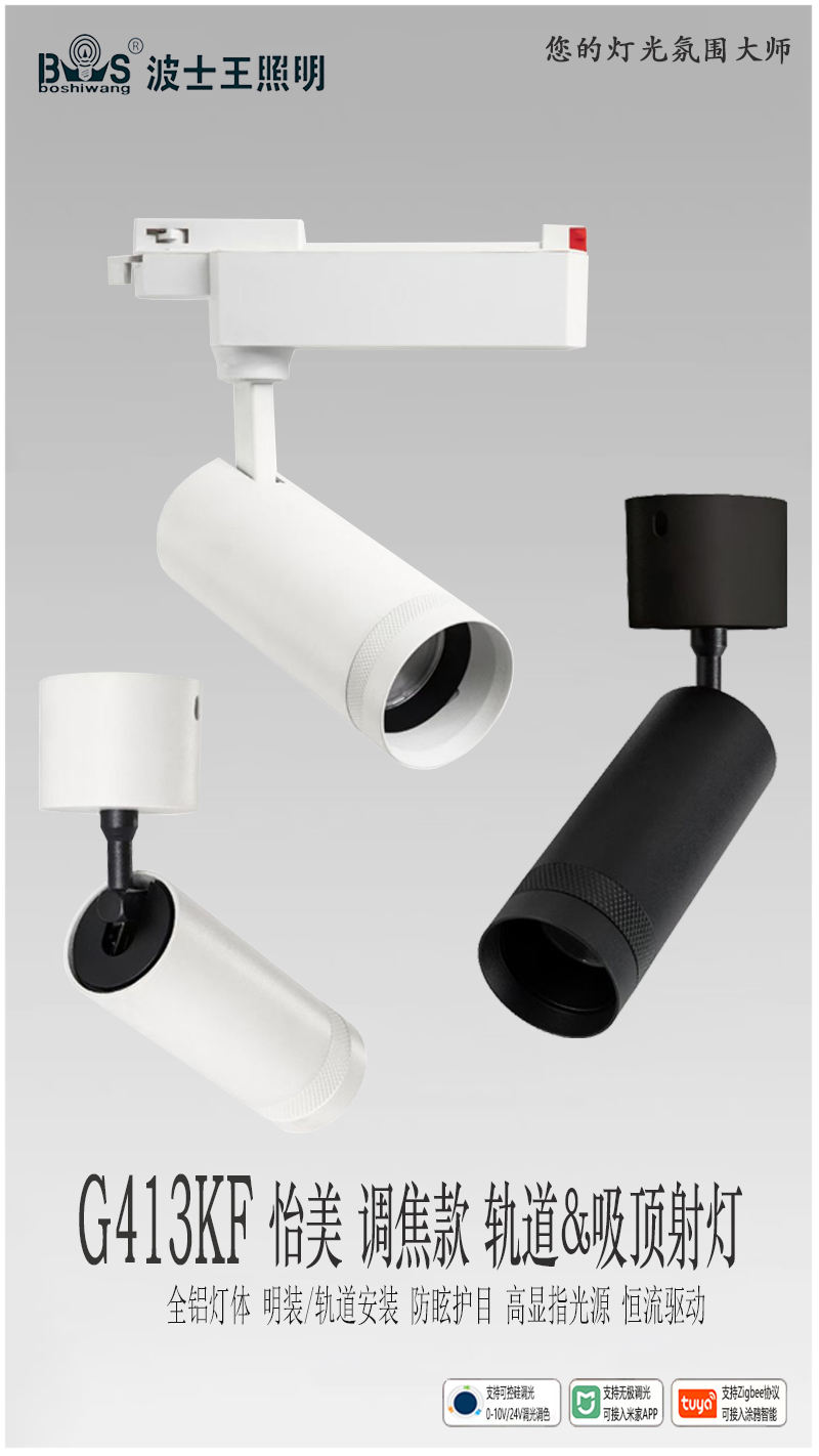 G413KF怡美 调焦 轨道射灯1.jpg