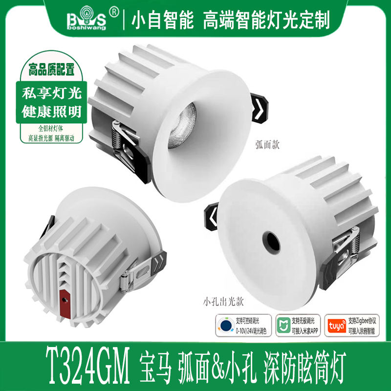 T324GM宝马 弧面小孔1.jpg