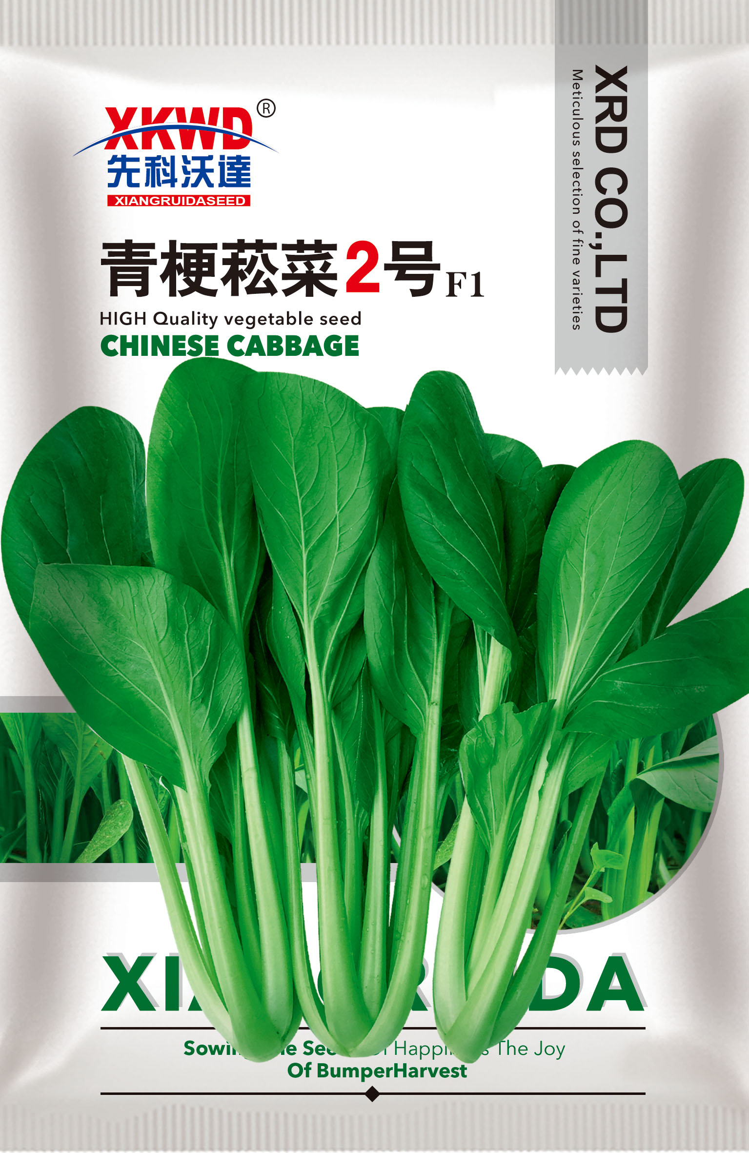 青梗菘菜2号.jpg