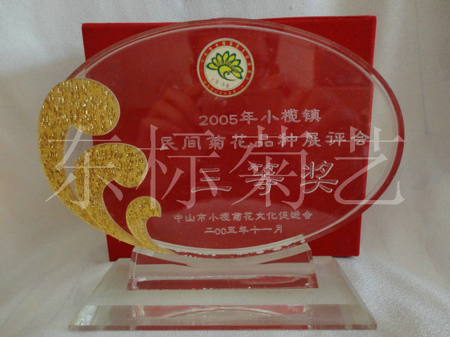 2005年中山小榄菊花艺术节