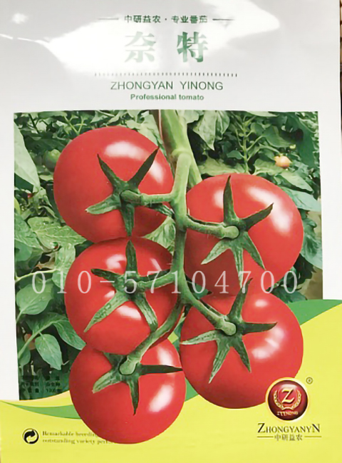 奈特番茄种子 大红果西红柿种子 抗TY线虫枯萎病叶霉病硬果番茄籽