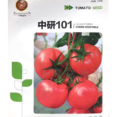 中研101番茄种子 早春秋延迟抗TY粉红果番茄种子 大果型西红柿籽